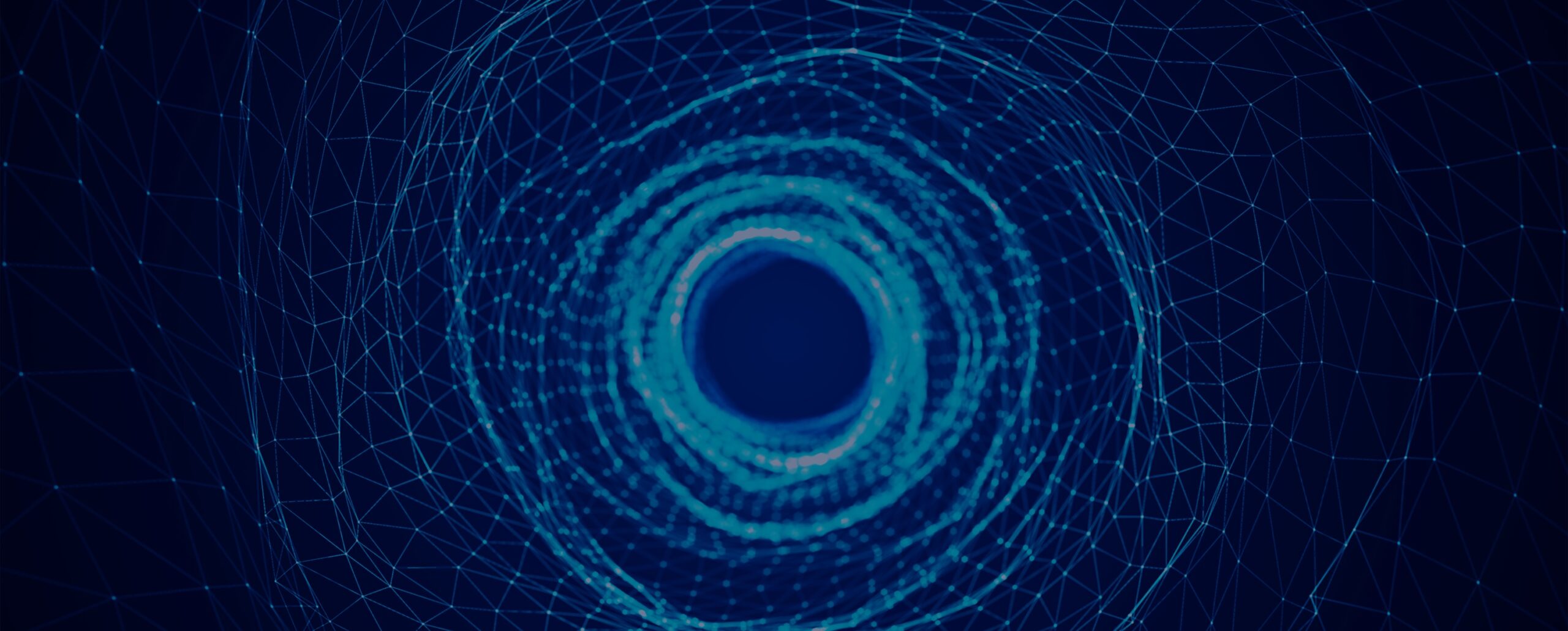 evoila custom software