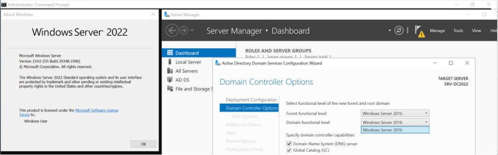 Microsoft 2022 dashboard